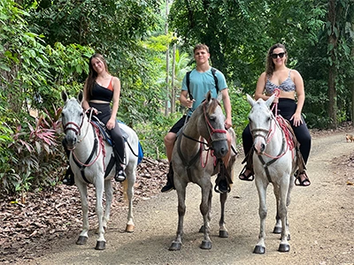 River Serenity Horseback Riding Jaco